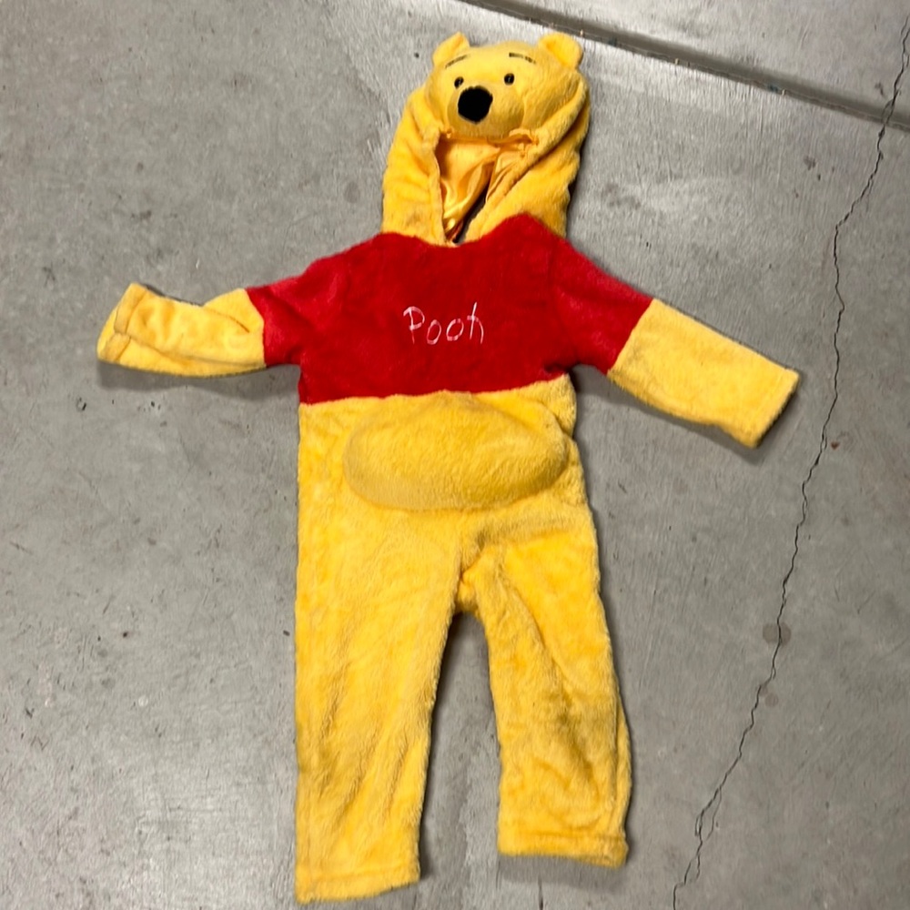 Winnie the Pooh costume.